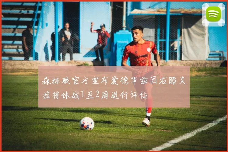 森林狼官方宣布爱德华兹因右膝炎症将休战1至2周进行评估